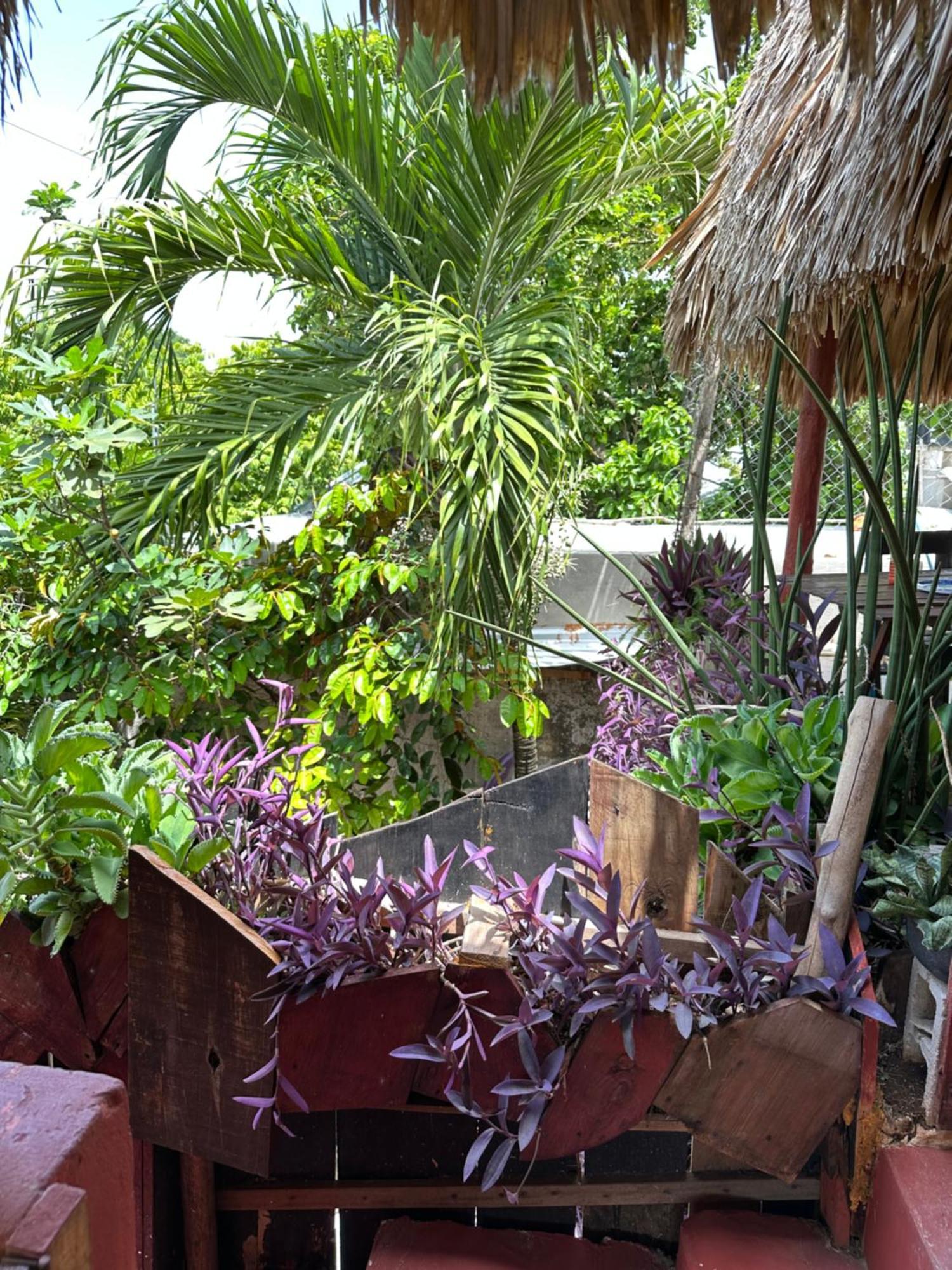 Casa de hóspedes Black Jaguar Bacalar