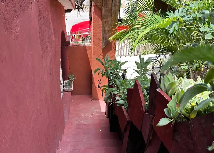 Black Jaguar Hostel