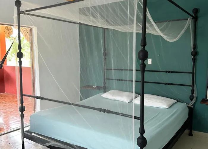 Black Jaguar Hostel