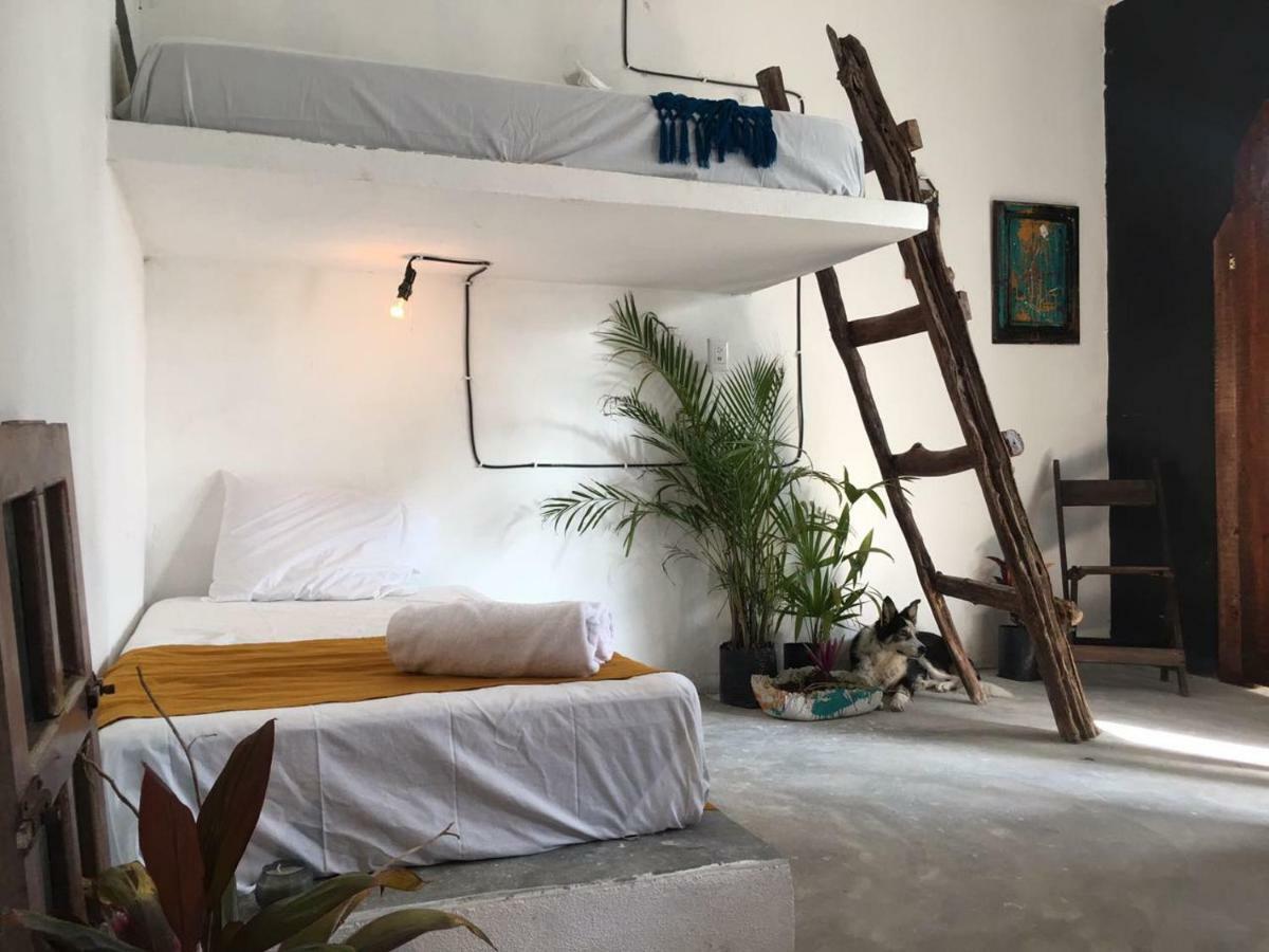Black Jaguar Guest house