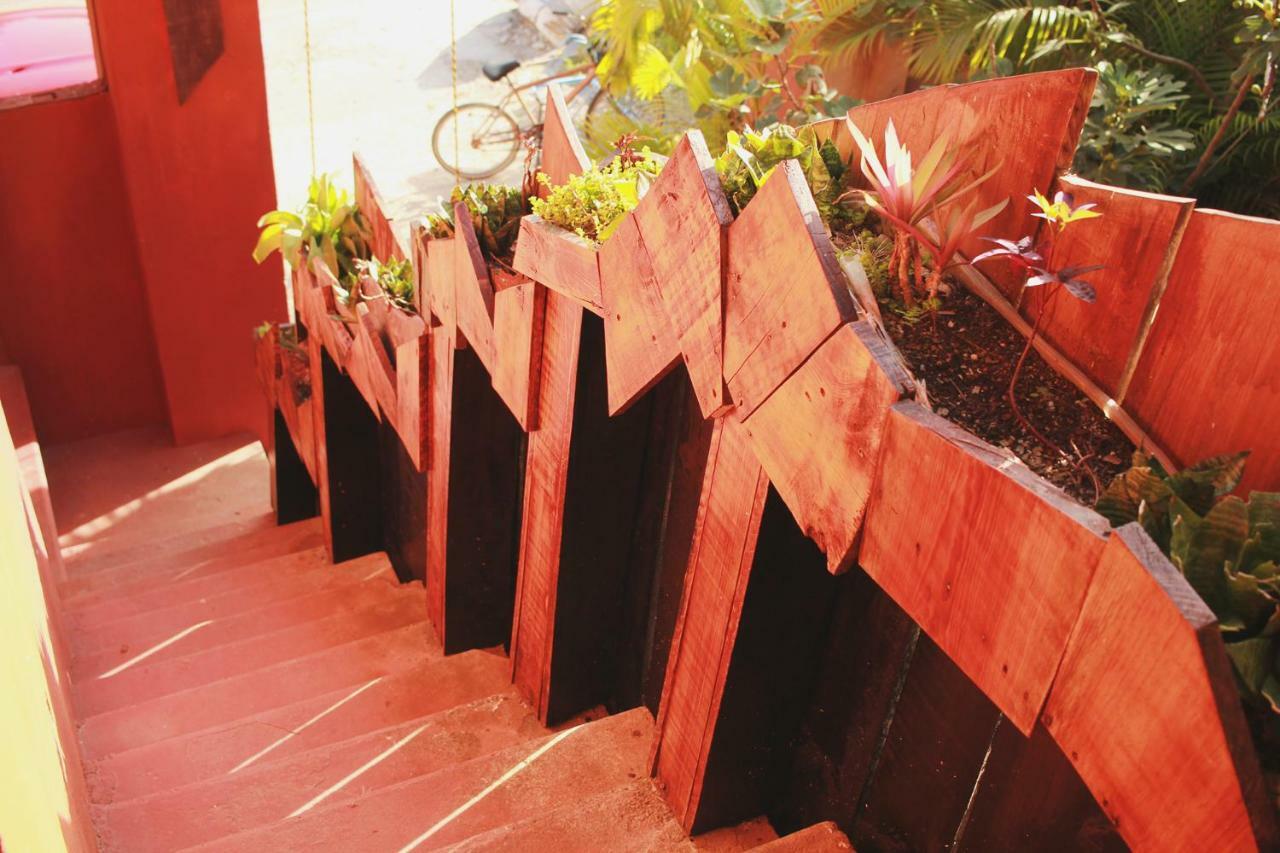 Guest house Black Jaguar